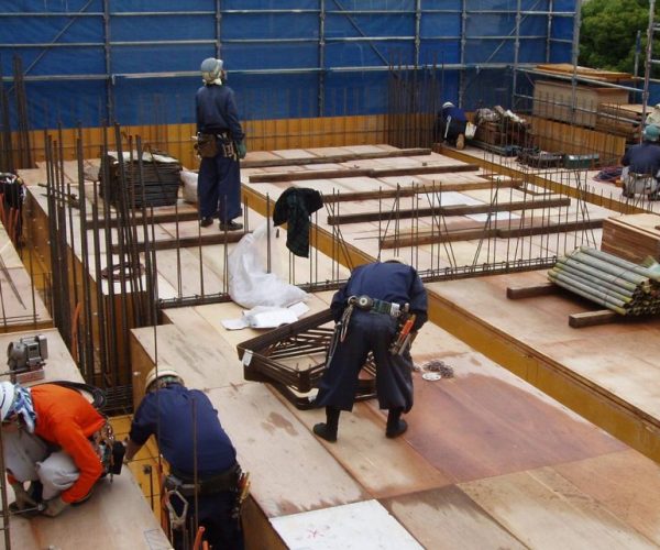 don-hang-cop-pha-tamico