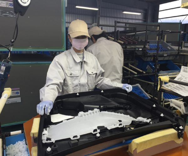 don-hang-duc-nhua-nu